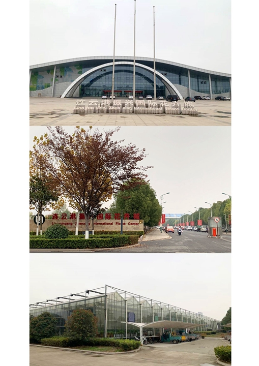 振興國際花卉城.jpg 振興國際花卉城.jpg